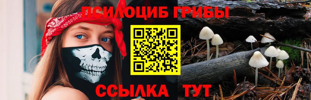 купить наркотики цена  Галлюциногенные грибы Cubensis  Первоуральск  Вход с VPN  Псилоцибиновые грибы ЛСД 